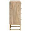 vidaXL Skjenk 55x30x76 cm heltre mango og jern