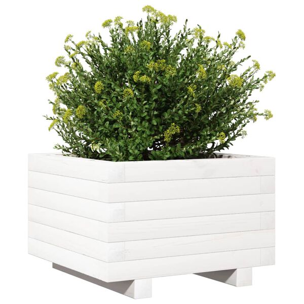 Viser 4 av 10 produktbilde(r)