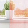 Miniatyrbilde av produktet 3 av 9