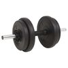 vidaXL Vektstang- og manualsett 60 kg