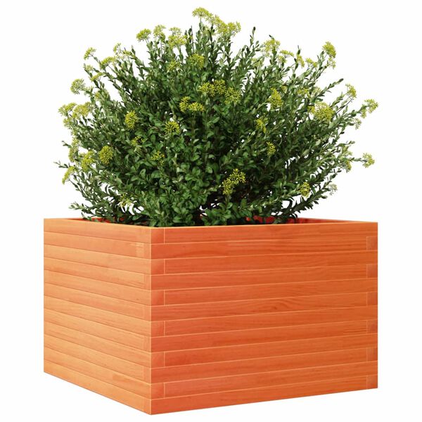Viser 4 av 10 produktbilde(r)