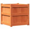 vidaXL Hageplantekasse voksbrun 50x50x50 cm heltre furu
