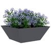 vidaXL Hageblomsterpotte 5 pcs Antrasitt 40 x 40 x 15 cm Kaldvalsest&aring;l