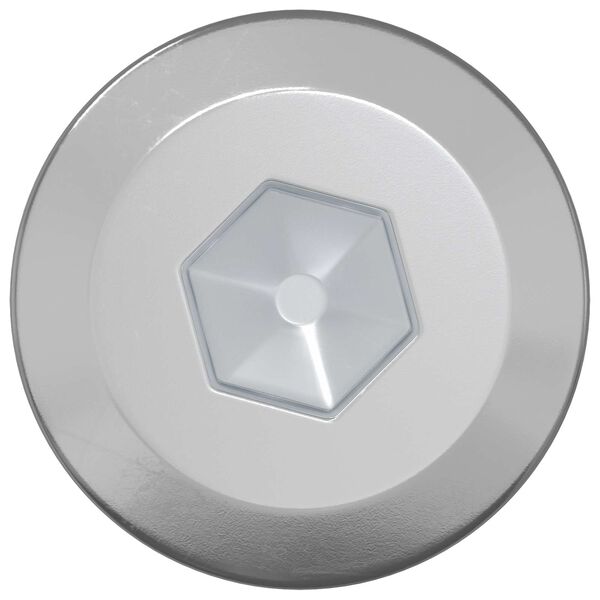 vidaXL Trefester 2 pcs s&oslash;lv M6 x 70 mm St&aring;l