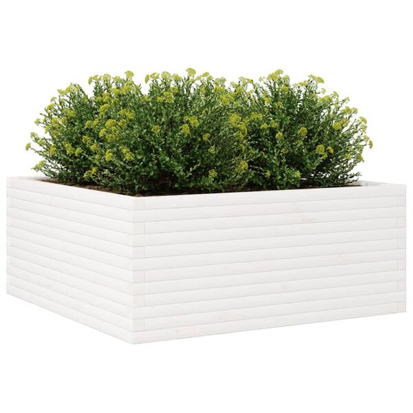 Viser 4 av 10 produktbilde(r)