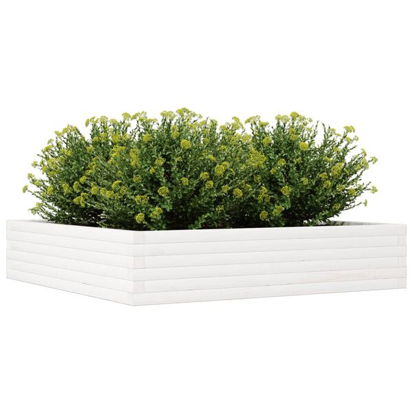 vidaXL Plantekasse hvit 110x110x23 cm heltre furu
