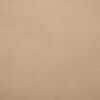 vidaXL Frostbeskyttelse Plantefleece Dekker Beige 2,4 x 2 m
