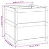vidaXL Plantekasse 60x60x60 cm heltre furu