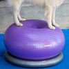 FitPAWS Balanseball til kj&aelig;ledyr TRAX Donut 55 cm lilla