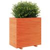 vidaXL Plantekasse voksbrun 70x40x72,5 cm heltre furu