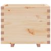 vidaXL Plantekasse 60x60x49,5 cm heltre furu
