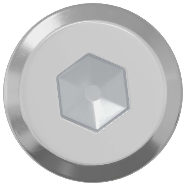 vidaXL L&aring;seskrue Ensfarget 2 pcs s&oslash;lv M6 x 30 mm St&aring;l