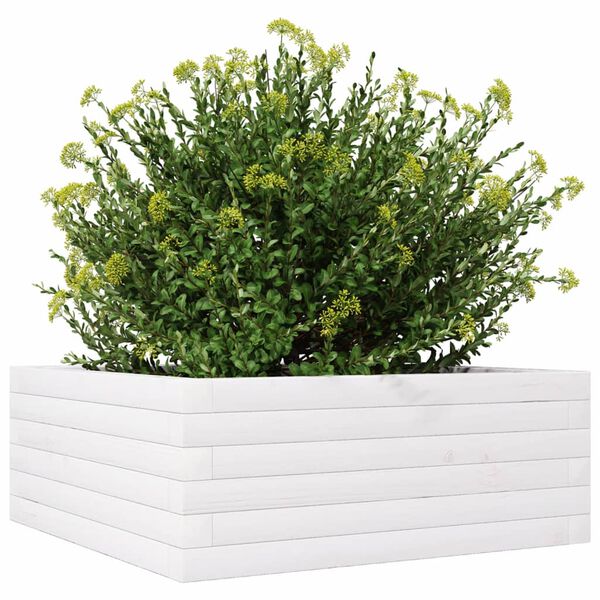 Viser 4 av 10 produktbilde(r)