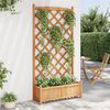 vidaXL Plantekasse med espalier brun heltre gran