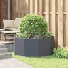 Miniatyrbilde av produktet 4 av 10