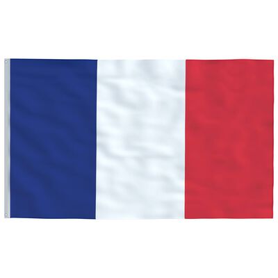 vidaXL Fransk flagg og stang 6,23 m aluminium