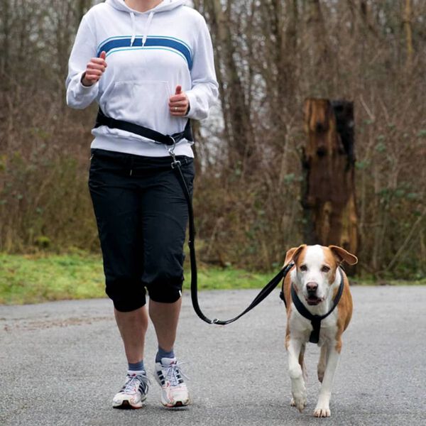 TRIXIE Joggebelte hund st&oslash;rrelse M svart 12767