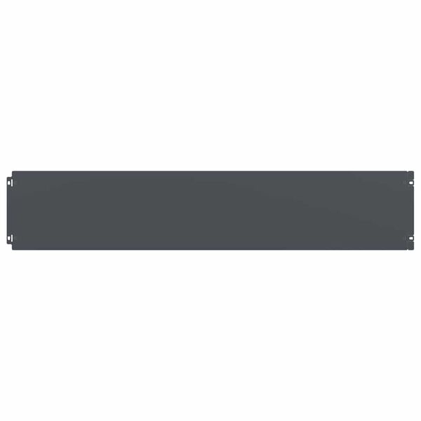 vidaXL Plenkanter 10 stk antrasitt 20x103 cm kaldvalset st&aring;l