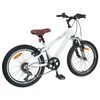 vidaXL Kids Mountain Bike 20 Tommer 6-Speed for 5-8 &aring;r gamle Hvit