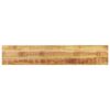 vidaXL Bordplate 160x40x3,8 cm rektangul&aelig;r grovt heltre mango