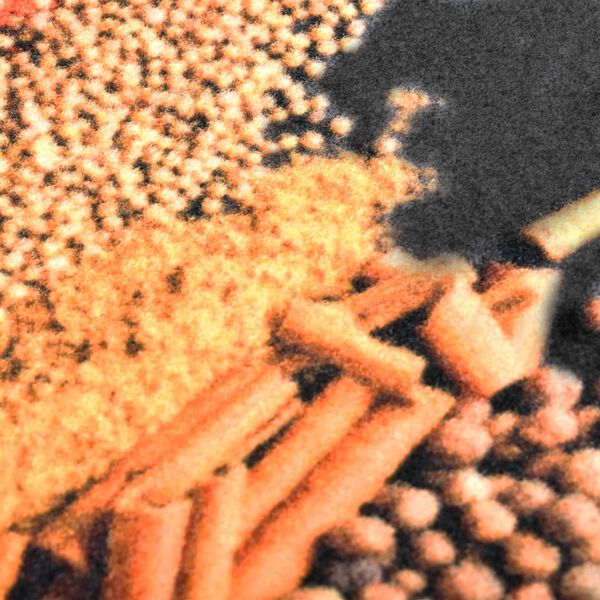 vidaXL Kjøkkenteppe vaskbart Spice 60x300 cm