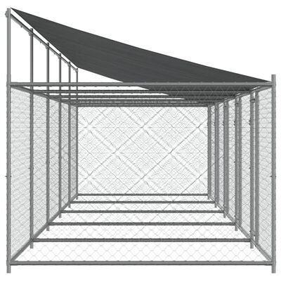 vidaXL Hundebur med tak og dør grå 10x2x2 m galvanisert stål