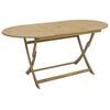 vidaXL Sammenleggbart hagebord 160x85x75 cm heltre akasie