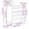 vidaXL Sko Skap med d&oslash;r Gammelt tre 100,5 x 28 x 100 cm Konstruert tre