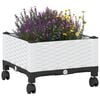 Miniatyrbilde av produktet 3 av 8