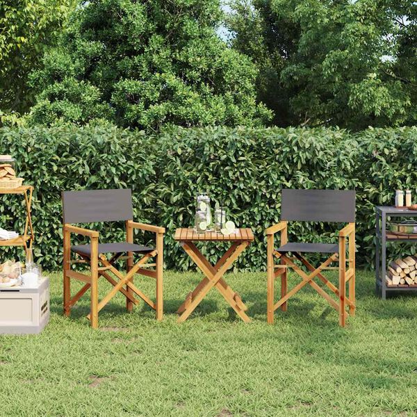 vidaXL Sammenleggbare regiss&oslash;rstol 2 stk gr&aring; heltre teak