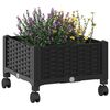 Miniatyrbilde av produktet 3 av 8