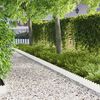 Miniatyrbilde av produktet 2 av 9