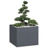 Miniatyrbilde av produktet 2 av 9