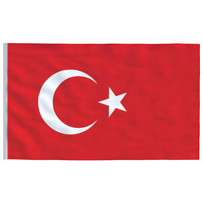 vidaXL Tyrkisk flagg og stang aluminium 6 m