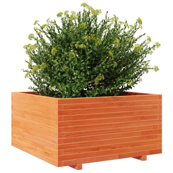 Viser 4 av 10 produktbilde(r)