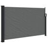 vidaXL Uttrekkbar sidemarkise antrasitt 117x300 cm