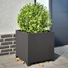Miniatyrbilde av produktet 2 av 10