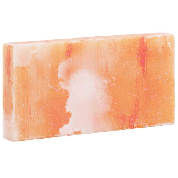 vidaXL Saltstein 10 pcs Rosa 20 x 2,5 x 10 cm Steinsalt