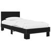 Black_oak