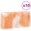 vidaXL Saltstein 10 pcs Rosa 20 x 5 x 10 cm Steinsalt