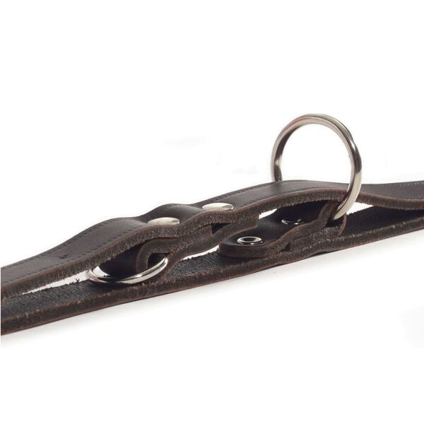 Beeztees Treningsb&aring;nd l&aelig;r brun 200x1,2 cm 736401