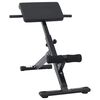 vidaXL Hyperextension benk Svart 100,5 x 70 x 78 cm Pulverlakkert st&aring;l
