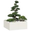 vidaXL Plantekasse hvit 100x100x40 cm st&aring;l