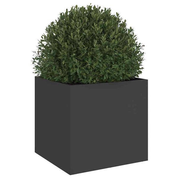 Viser 4 av 11 produktbilde(r)