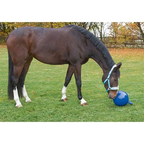Kerbl Lekeball for hest bl&aring; 25 cm 32399