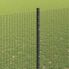 Miniatyrbilde av produktet 4 av 14