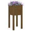 vidaXL Plantekasser 2 stk honningbrun 31x31x70 cm heltre furu