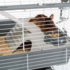 Miniatyrbilde av produktet 3 av 13