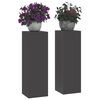 vidaXL Planteholder 2 pcs Svart 24 x 24 x 75 cm Stål
