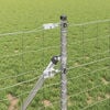 Miniatyrbilde av produktet 4 av 15